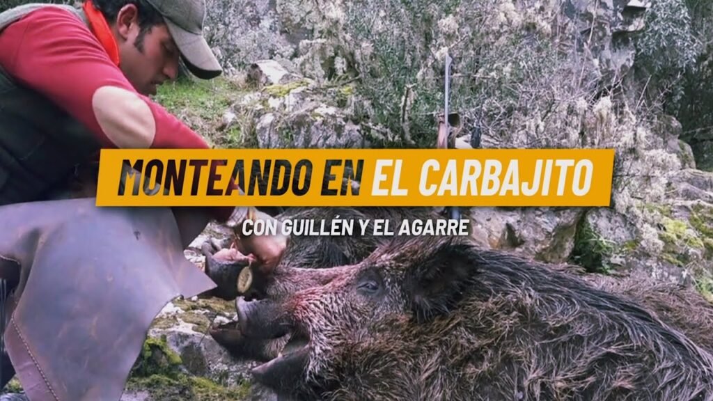 MONTERÍA  EN EL CARBAJITO CON GUILLÉN Y EL AGARRE  En Fregenal de la Sierra 7 de Febrero 2021.