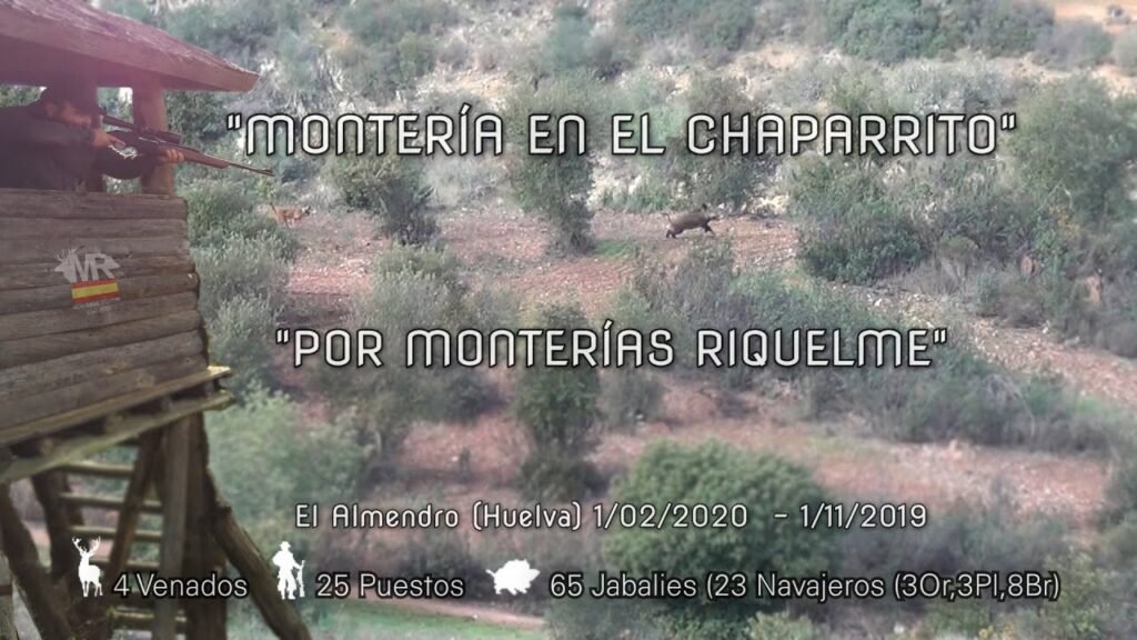 MONTERIA EN EL CHAPARRITO CON MONTERIAS RIQUELME 🥇 🎥🐗  El Almendro (Huelva)