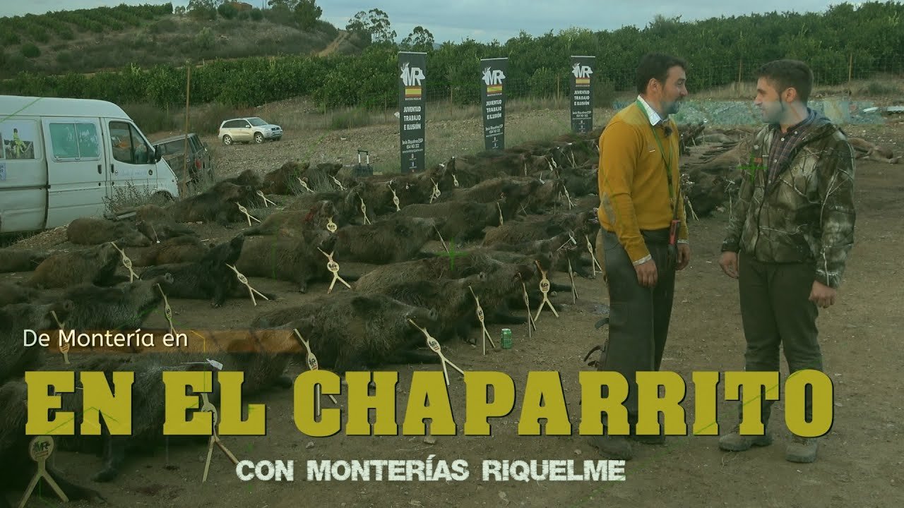 MONTERÍA EN EL CHAPARRITO CON MONTERIAS RIQUELME  en el Almendro ( Huelva) 22 de Octubre del 2022.