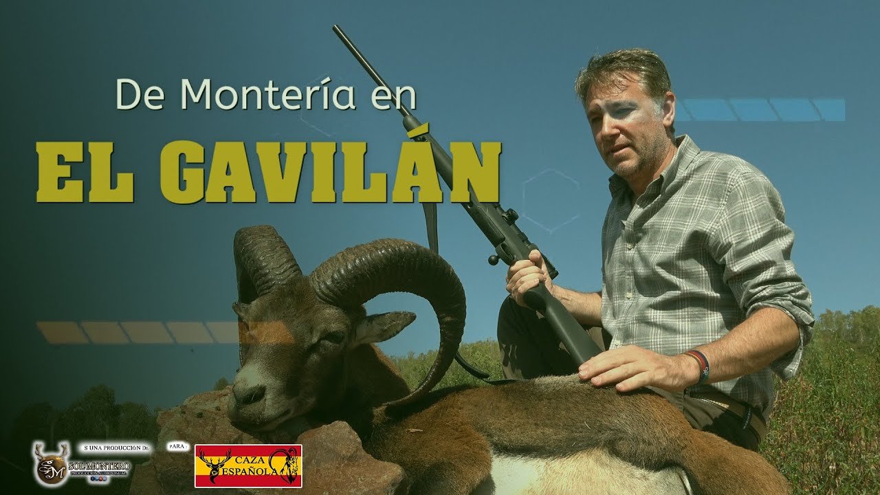 MONTERÍA EN EL GAVILAN  por Caza Española 🇪🇸 Retamal de Llerena 15 de Octubre 2022