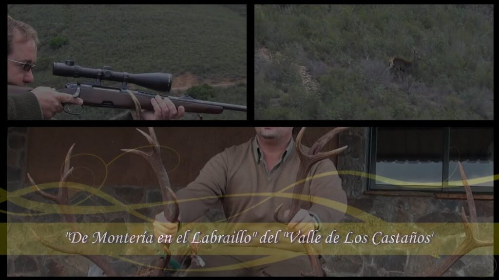 MONTERIA EN EL LABRAILLO DEL VALLE DE LOS CASTAÑOS