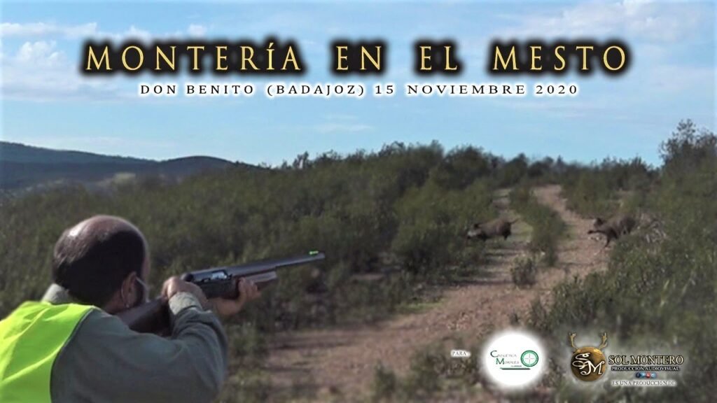 MONTERÍA EN EL MESTO POR CINEGETICA MORALES en Don Benito (Badajoz )15 de Noviembre del 2020.