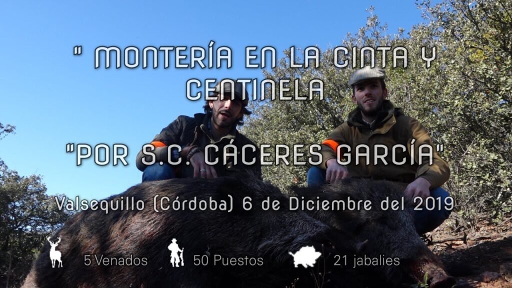 MONTERÍA EN LA CINTA Y LA CENTINELA POR S.C CÁCERES GARCIA  Valsequillo  6 de Diciembre del 2019.