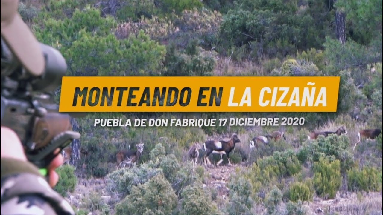 MONTERIA EN LA CIZAÑA En Puebla de Don Fabrique (Granada)  17 de Diciembre del 2020.