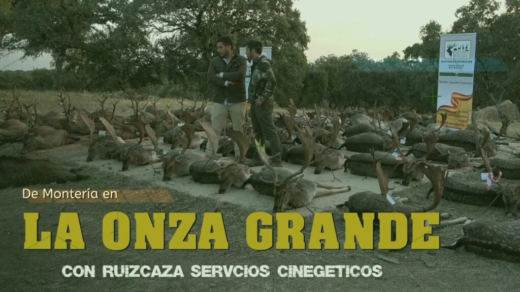 MONTERÍA EN LA ONZA GRANDE CON RUIZ CAZA SERVICIOS CINEGÉTICOS  en Montoro 12 Noviembre del 2022.