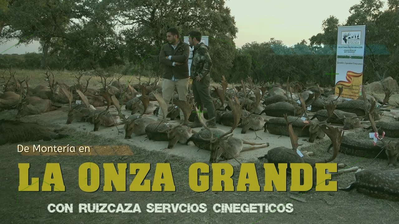 MONTERÍA EN LA ONZA GRANDE CON RUIZ CAZA SERVICIOS CINEGÉTICOS  en Montoro 12 Noviembre del 2022.