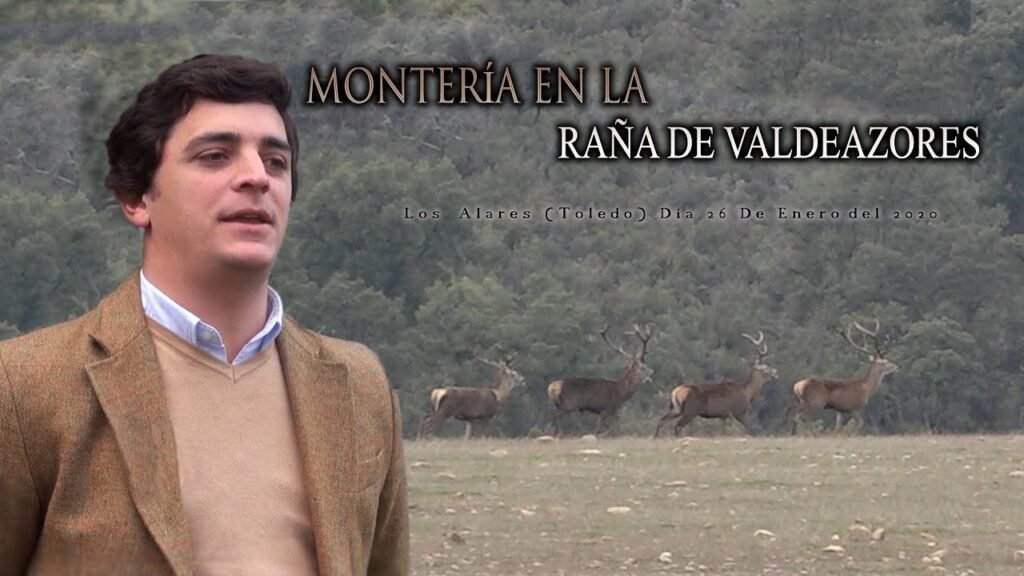 MONTERÍA EN LA RAÑA DE VALDEAZORES CON PELILLOS SERVICIOS CINEGETICOS  Los Alares 26 Enero 2020
