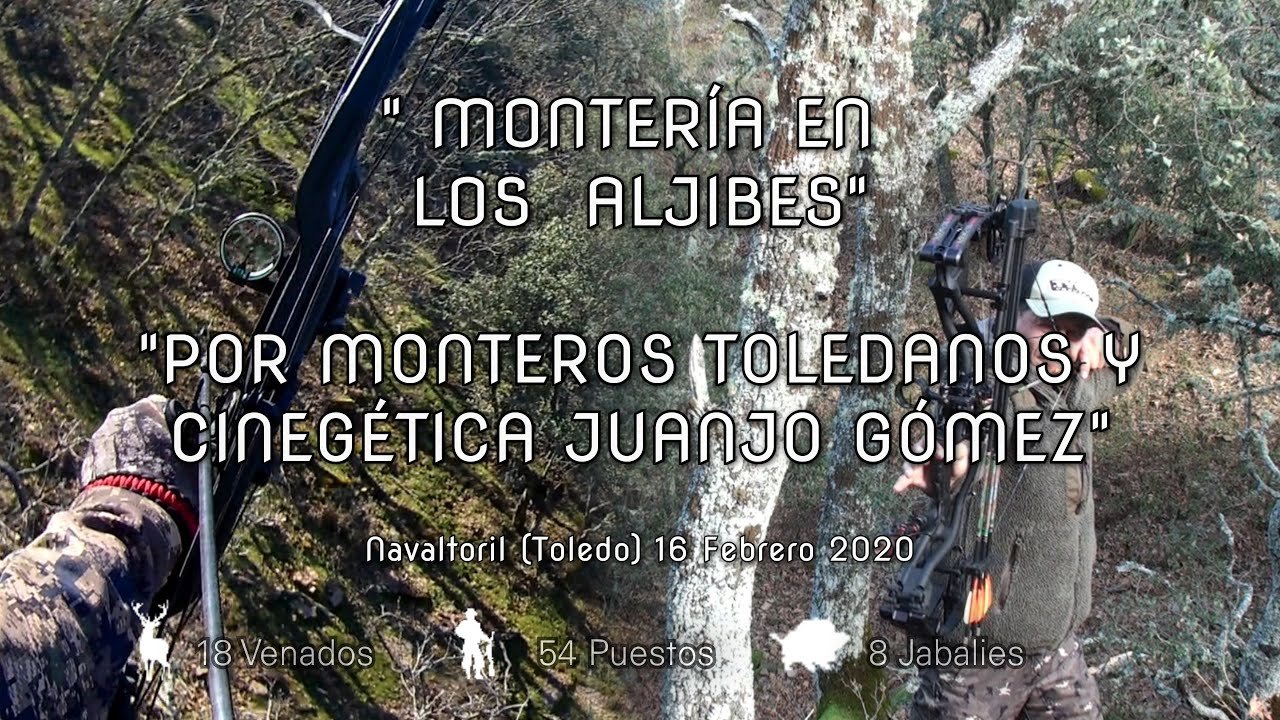 MONTERÍA EN  LOS ALJIBES CON MONTEROS TOLEDANOS Y CINEGETICA JUANJO GÓMEZ  Navaltoril 16/02/2020.