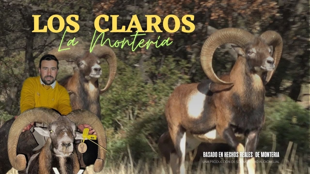 Monteria En Los Claros Con Monterias Riquelme Almodovar Del Campo El 3 Diciembre 2022
