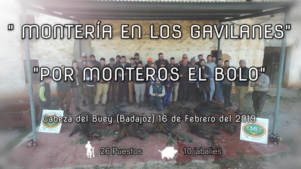 MONTERÍA EN LOS GAVILANES POR MONTEROS EL BOLO 16 de Febrero 2019
