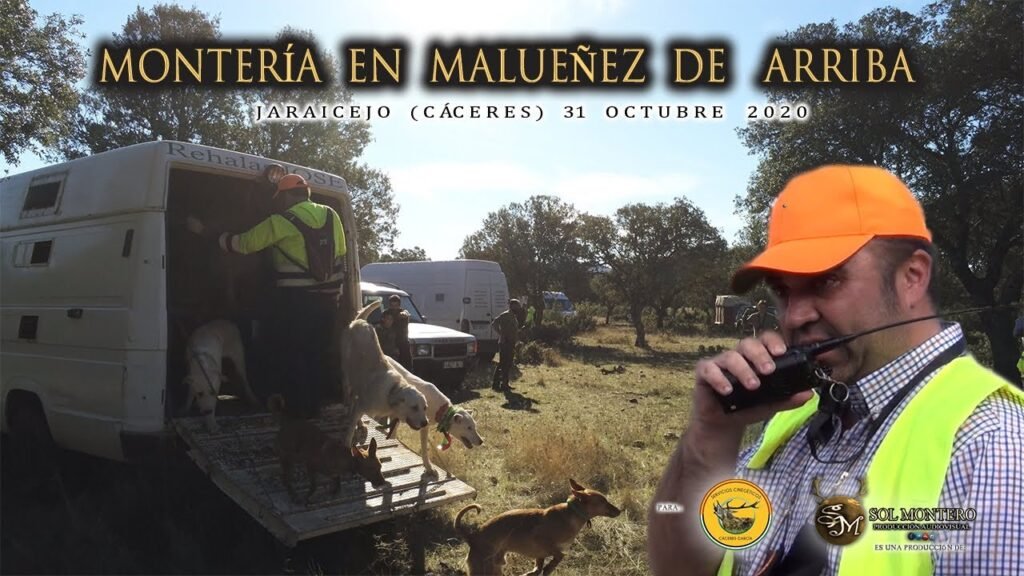 MONTERÍA EN MALUEÑEZ DE ARRIBA POR S.C. CÁCERES GARCÍA    En Jaraicejo 31 de Octubre del 2020.