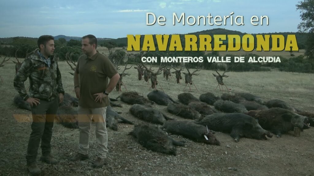 MONTERÍA EN NAVARREDONDA CON MONTEROS VALLE DE ALCUDIA Almuradiel 23 de Octubre del 2022