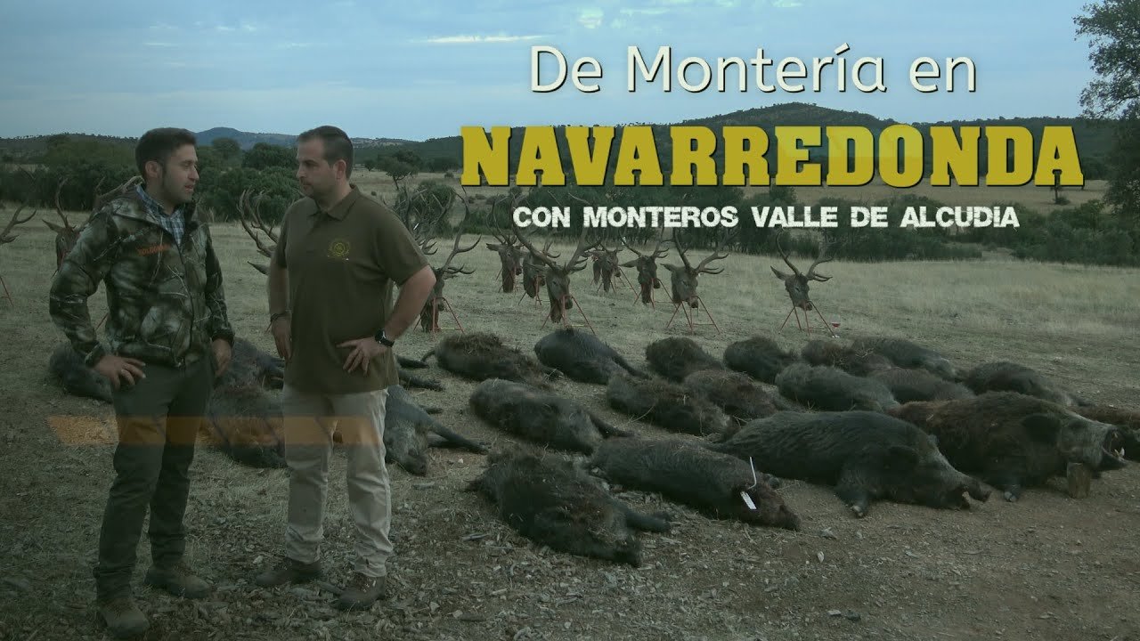 MONTERÍA EN NAVARREDONDA CON MONTEROS VALLE DE ALCUDIA Almuradiel 23 de Octubre del 2022