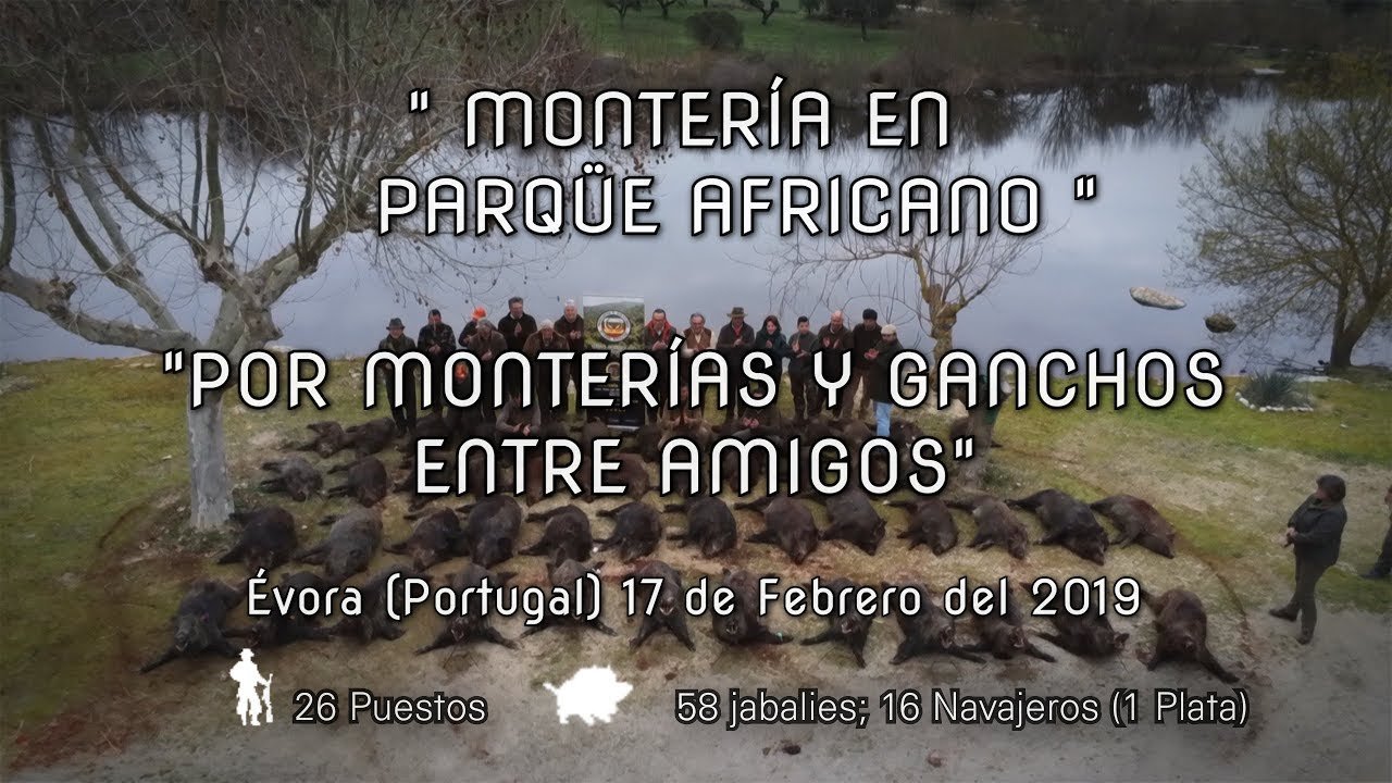 MONTERÍA EN PARQUE AFRICANO POR MONTERIAS Y GANCHOS ENTRE AMIGOS  Evora 17 De Febrero 2019.