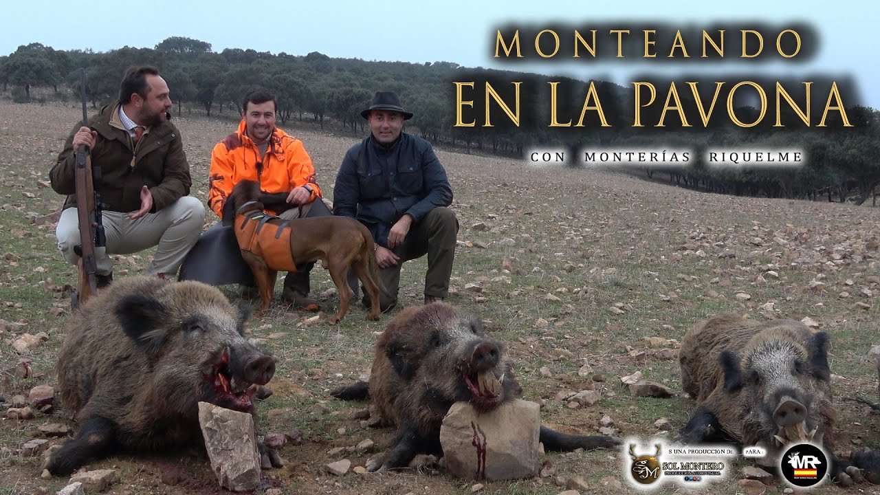 MONTERIA LA PAVONA CON MONTERÍAS RIQUELME En Abenojar ( Ciudad Real)