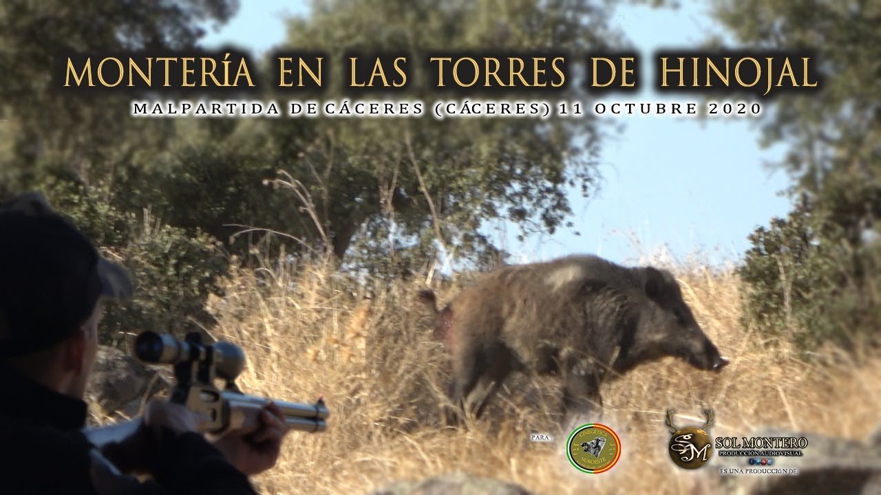 MONTERIA LAS TORRES DE HINOJAL POR CINEGETICA SUROESTE Malpartida de Cáceres 11 de Octubre 2020