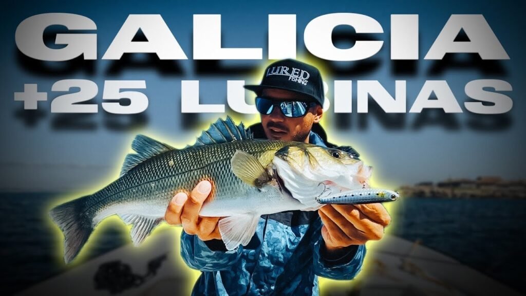 No esperaba TANTAS LUBINAS en Superficie [SPINNING en GALICIA] | Lured Vlog 282