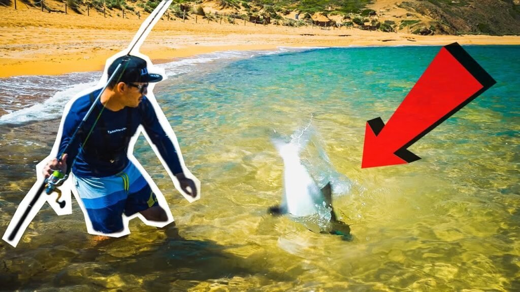 NO ESPERÁBAMOS ese PEZ   en la ORILLA de la PLAYA | Lured Vlog 138