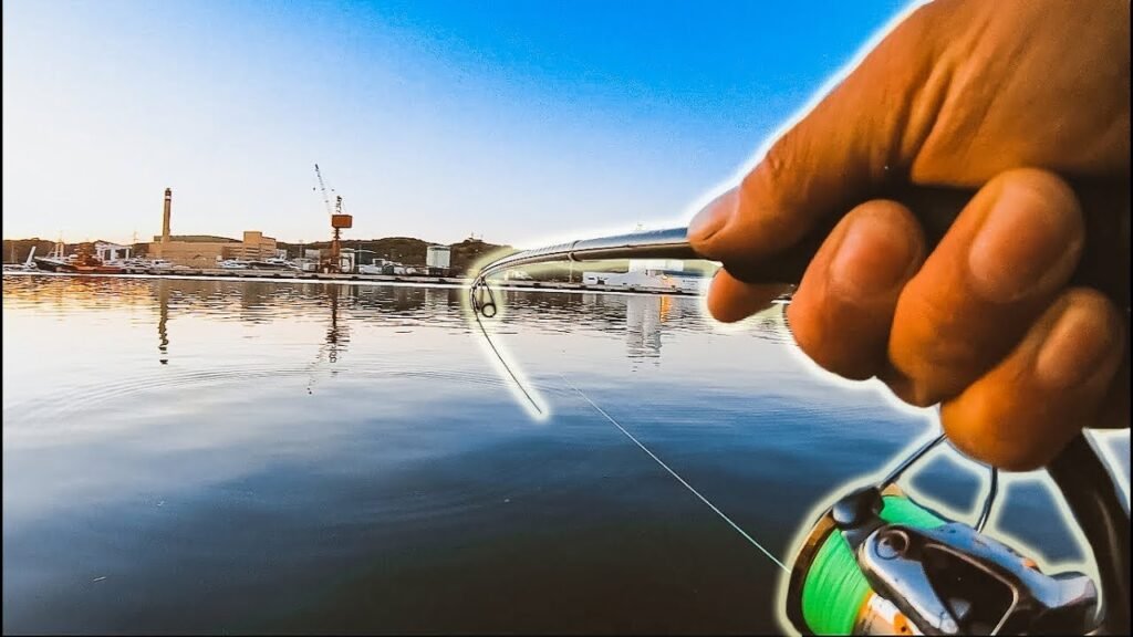 NOCHE de SPINNING y ROCKFISHING Portuario en VERANO | Lured Vlog 99