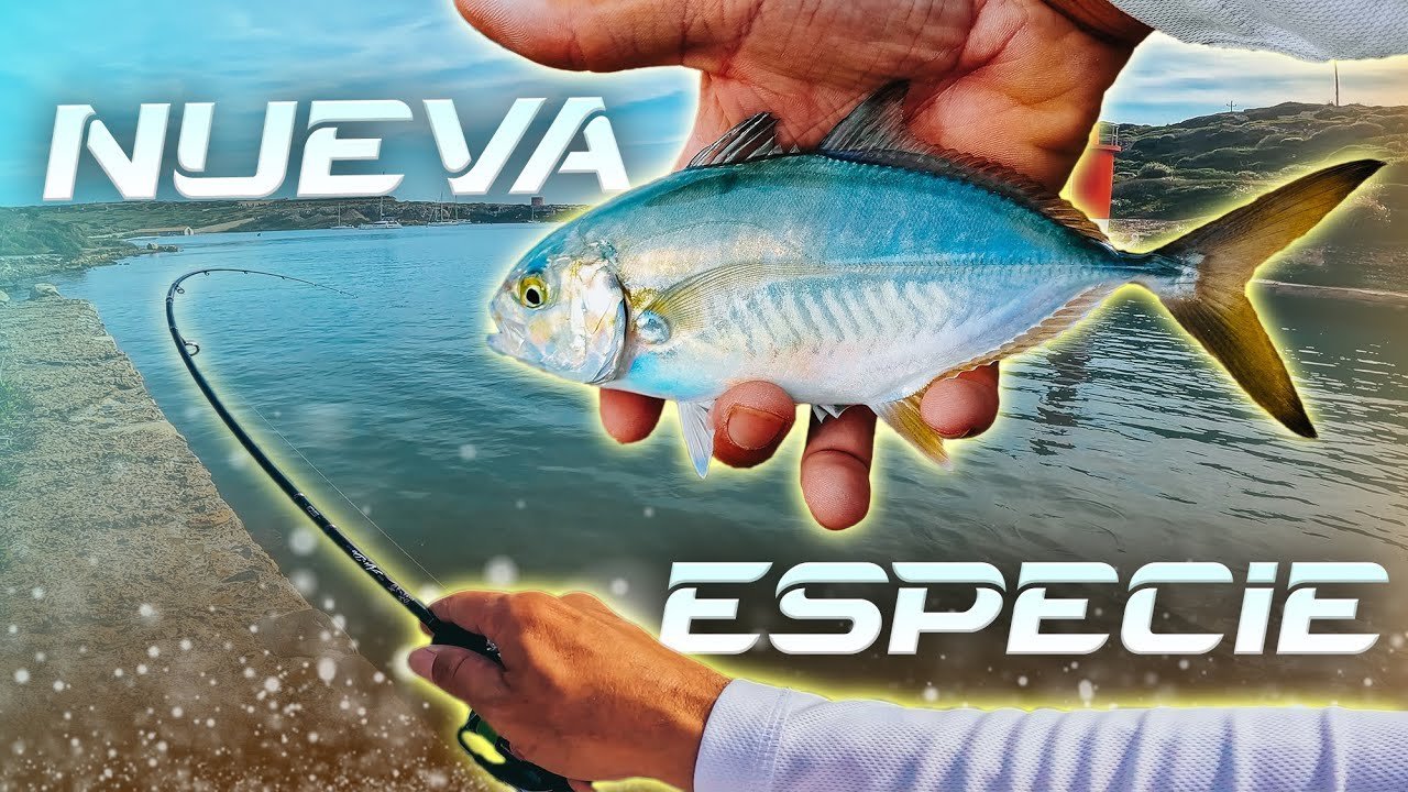 NUEVA ESPECIE (Invasora?) "Asentada" en NUESTRAS COSTAS? | Lured Vlog 253