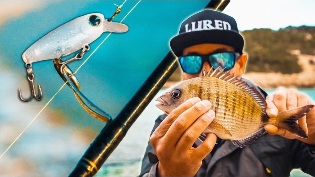 [NUEVO Señuelo] ✔️ Encuentro BANCOS de SARGOS en la PLAYA | Lured Vlog 177