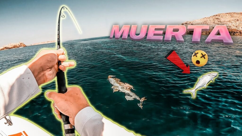 NUNCA había visto ESTA CAÑA tan DOBLADA | Lured Vlog 236