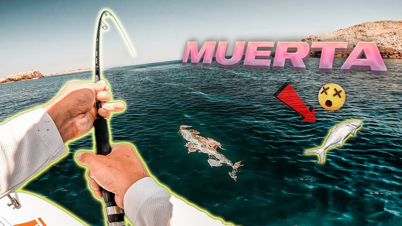 NUNCA había visto ESTA CAÑA tan DOBLADA | Lured Vlog 236