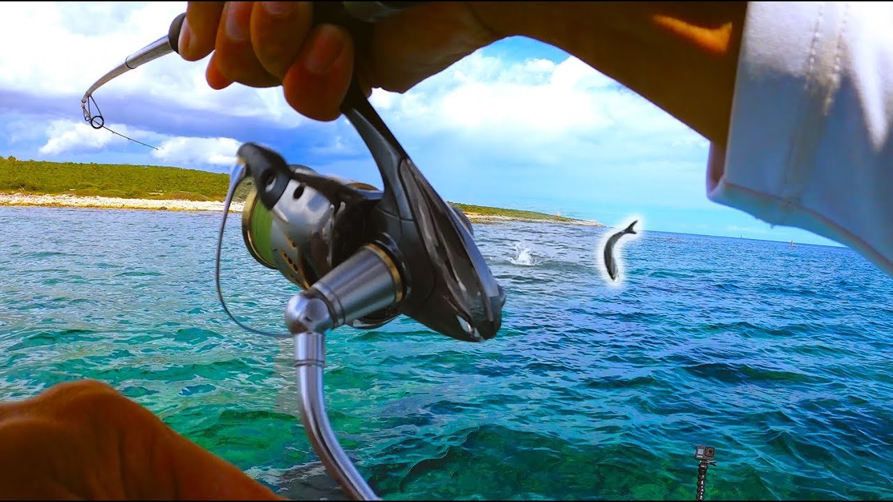 NUNCA había visto ESTE PEZ ahí [Probando FLUOROCARBONO NEGRO Sunline] | Lured Vlog 155