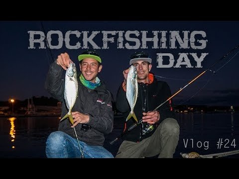 Pajareras, Islote paradisíaco y Jurelas | Lured Vlog 24