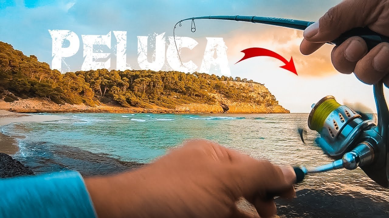 PALOMETÓN desde PLAYA con "PELUCA" en el HILO⚠️RODEADO de PECES MUERTOS | Lured Vlog 115
