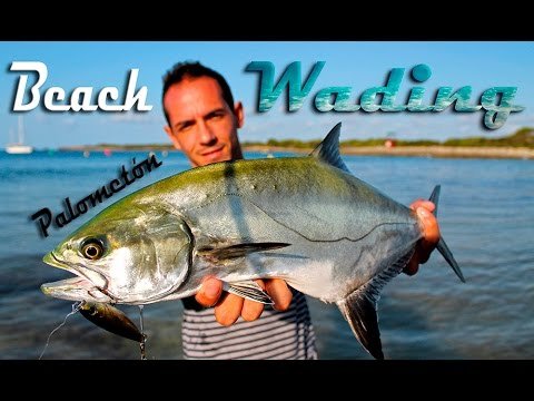 Palometón desde playa | Spinning