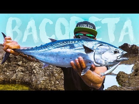Peces GRANDES en PAJARERA desde COSTA | Lured Vlog 85
