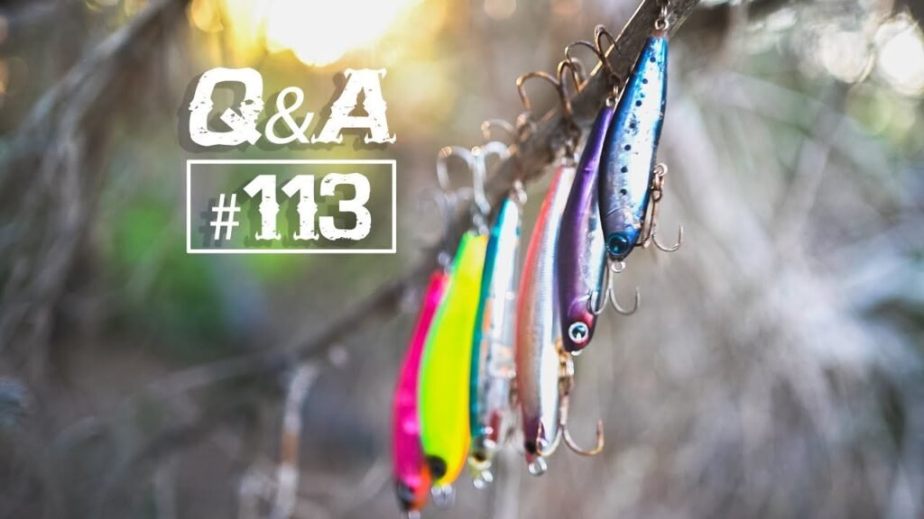 ¿PECES NO ATACAN? ¿ESPECIES y SEÑUELOS SPINNING de NOCHE? ¿TAMAÑO ANZUELOS? | Lured Q&A #113