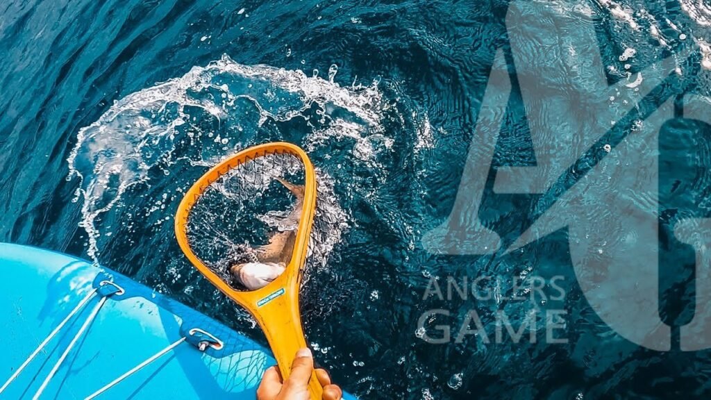 PECES y   en [   ] | Partida "amistosa" (pero no tanto)