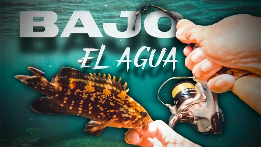 Pesca con CAÑA BAJO el AGUA [con SEÑUELOS] | Lured Vlog 288