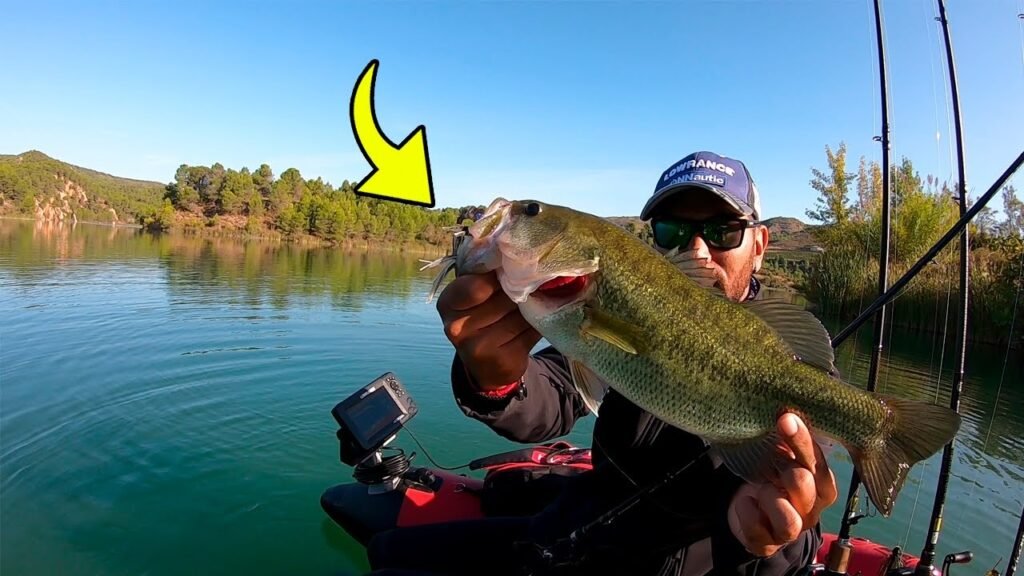 PESCA con CHATTERBAIT a la "PARADINHA"... 💯