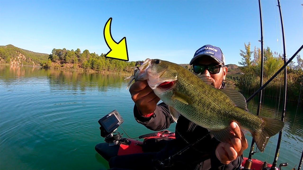 PESCA con CHATTERBAIT a la "PARADINHA"... 💯