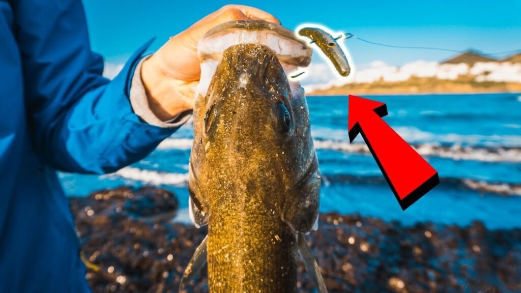 Pesca con ÉXITO en aguas TURBIAS / con ALGA