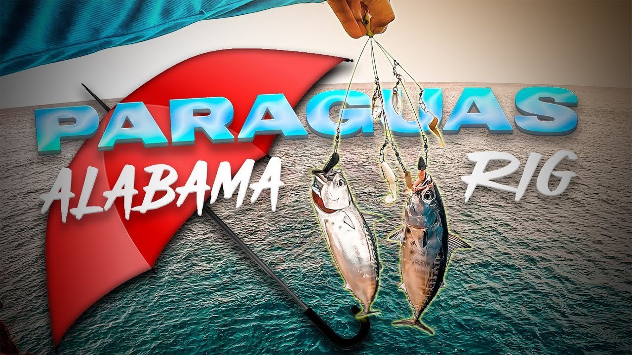 Pesca con PARAGUAS ☔ vuelve LOCAS a las OBLADAS   [Alabama Rig] | Lured Vlog 260
