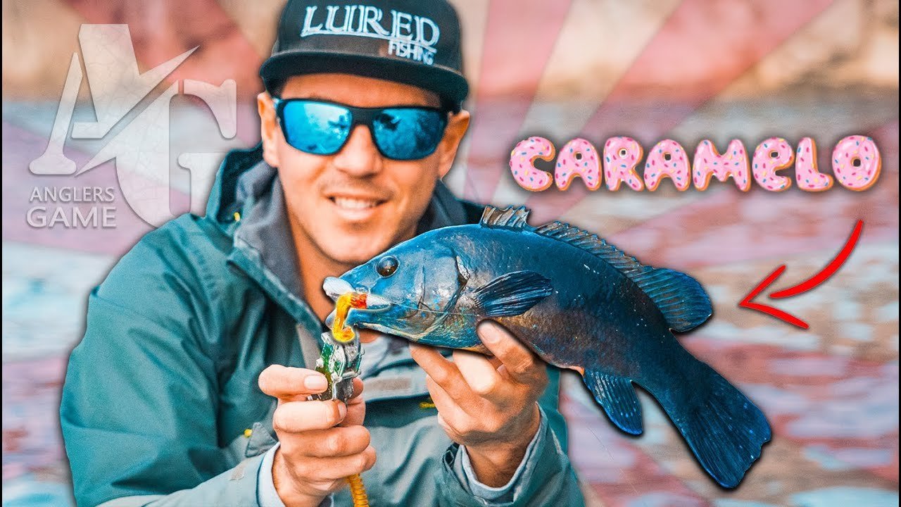 PESCA con SEÑUELOS "TROLL" - GOMINOLAS (No esperaba que FUNCIONARAN tan BIEN) [Anglers Game] | #P7L1