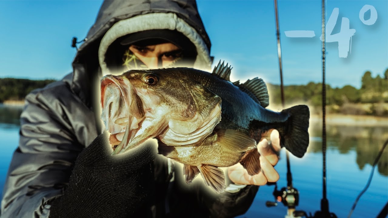 PESCA de BASSES a -4º ⚠ | Se nos CONGELA el HILO y las ANILLAS...❄