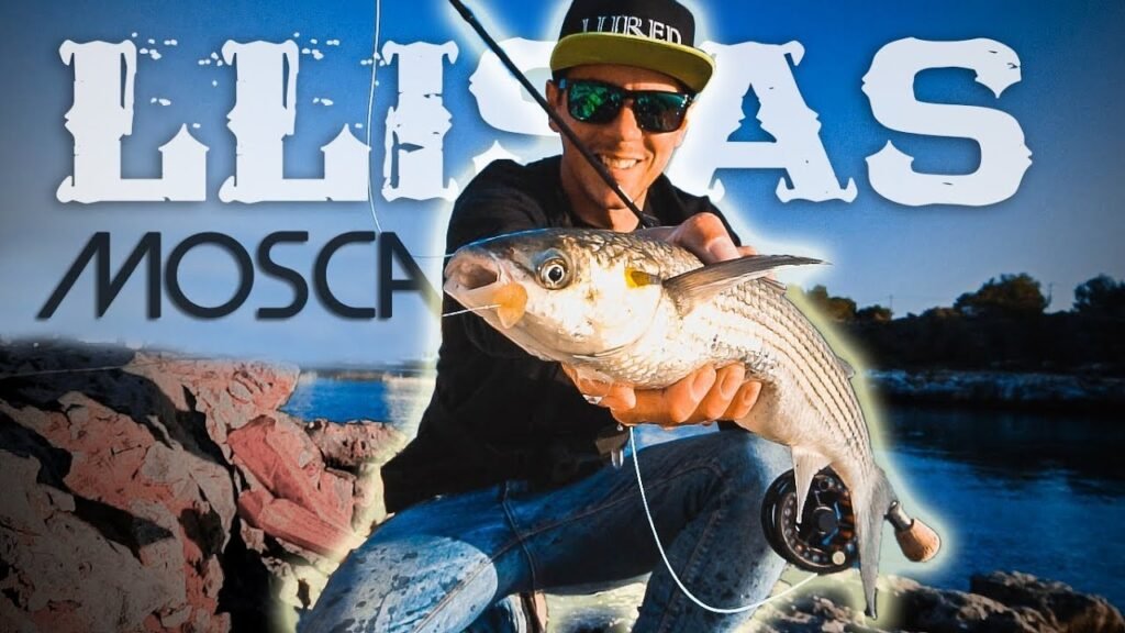 Pesca de LLISAS a MOSCA en el mar | Lured Vlog 29