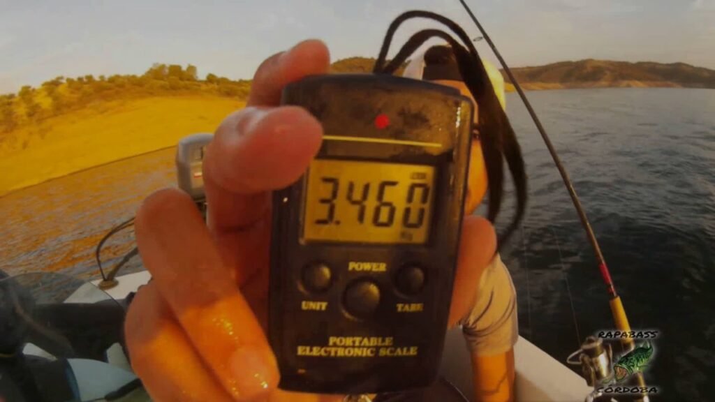 PESCA DEL BARBO CON CALZADOR | HD