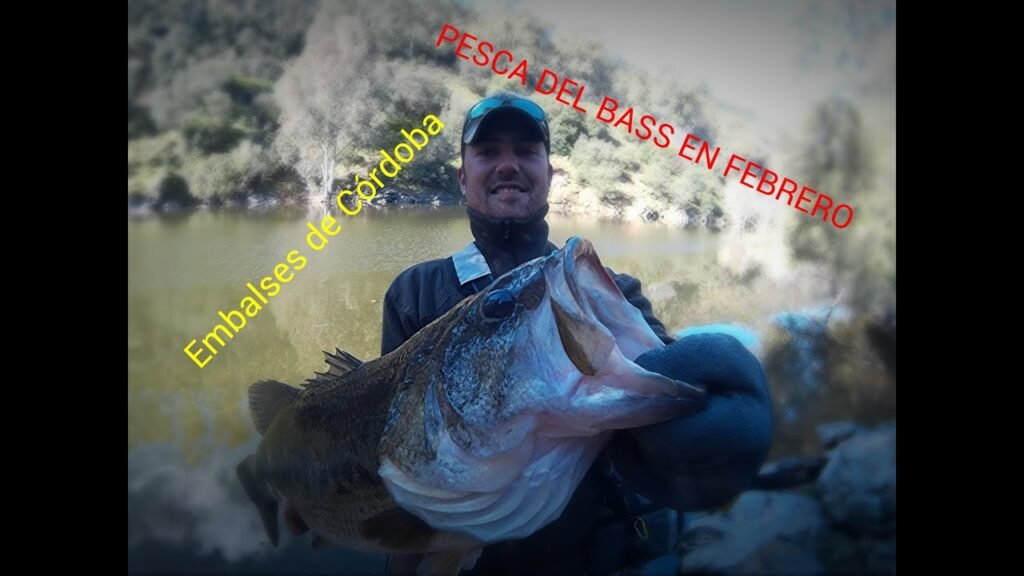 Pesca del bass en febrero