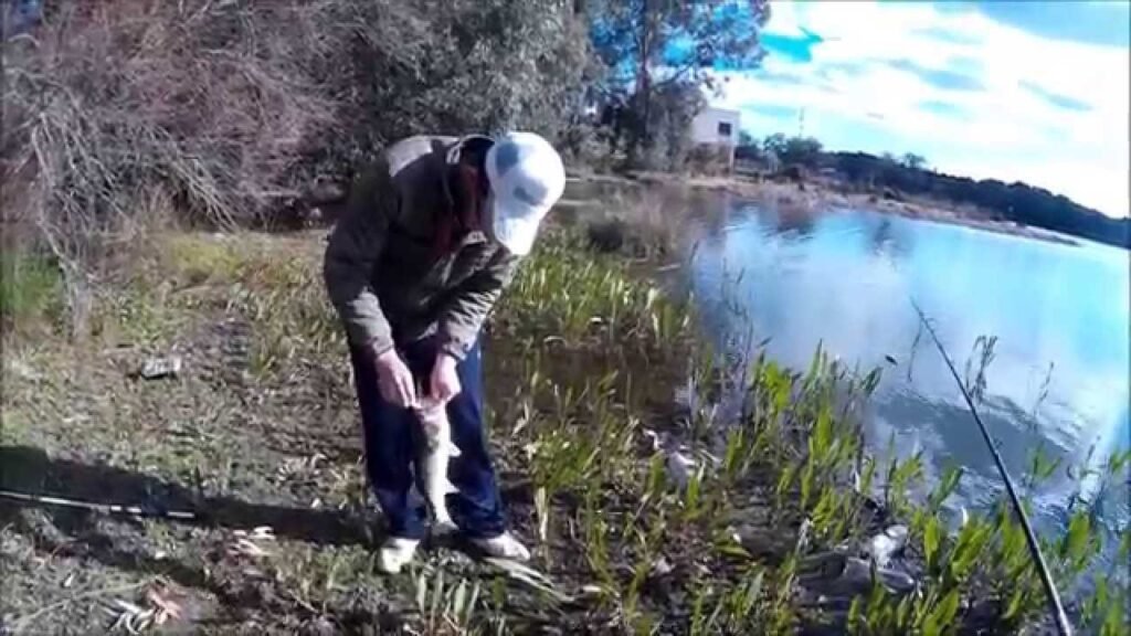 Pesca del bass en guadalnuño