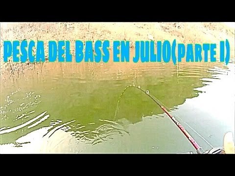 Pesca del Bass en Julio | HD