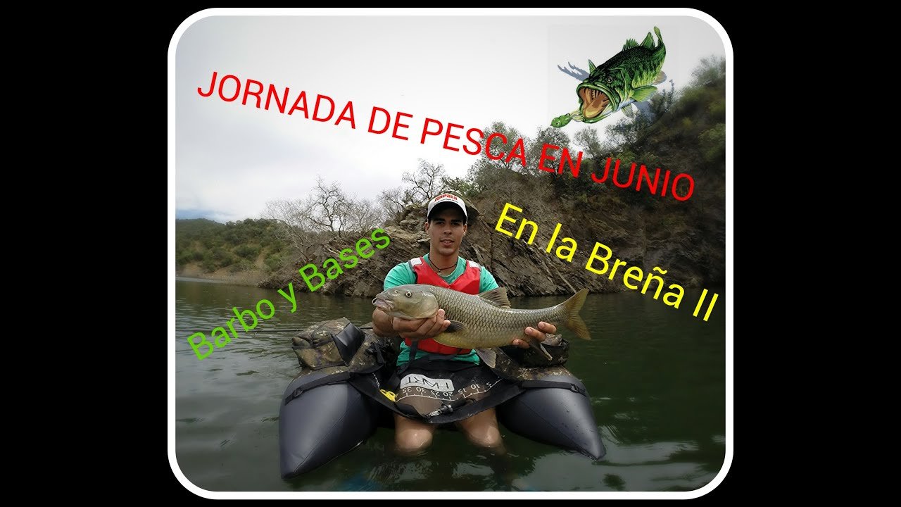 Pesca del bass y barbo a spinning