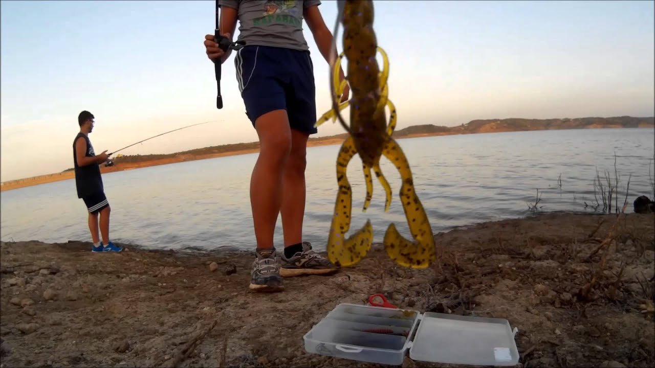 Pesca del Black Bass desde orilla