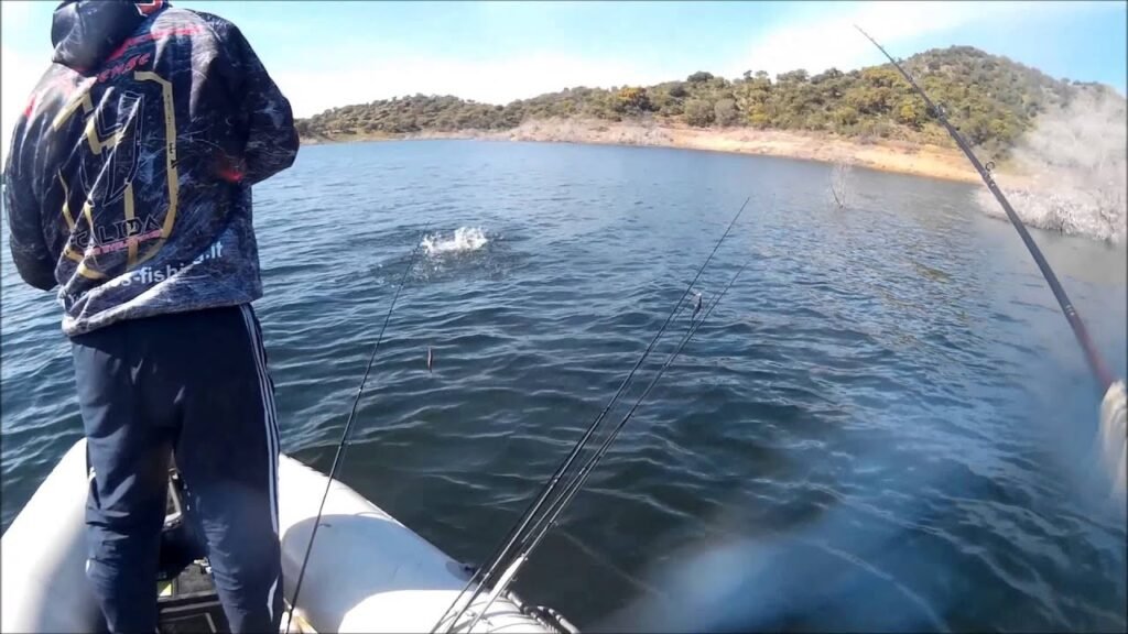 PESCA DEL BLACK BASS EN ABRIL | HD