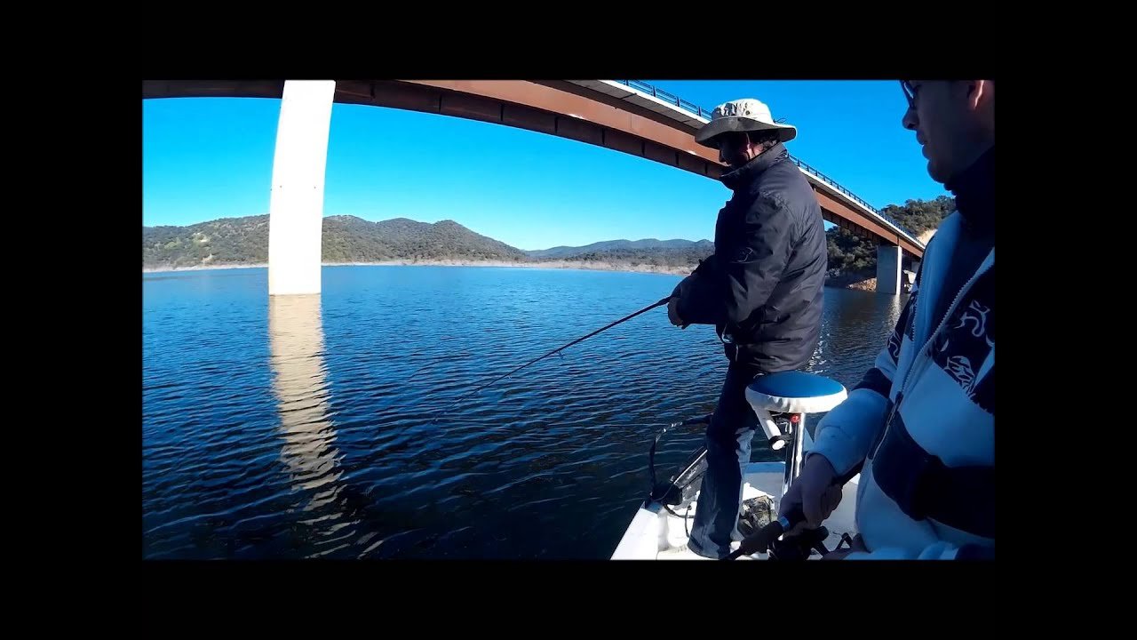 Pesca del Black Bass en invierno
